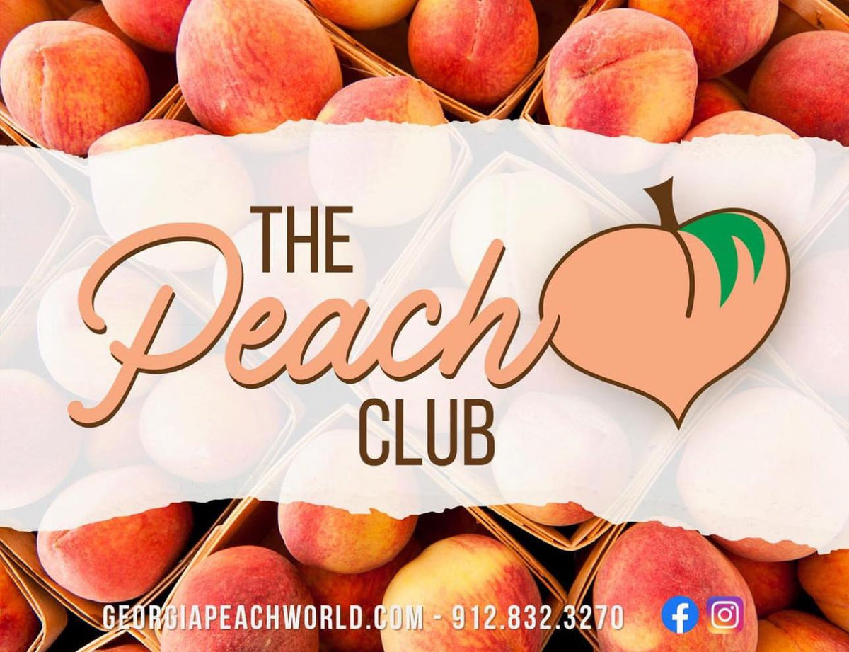 club dj korea peach