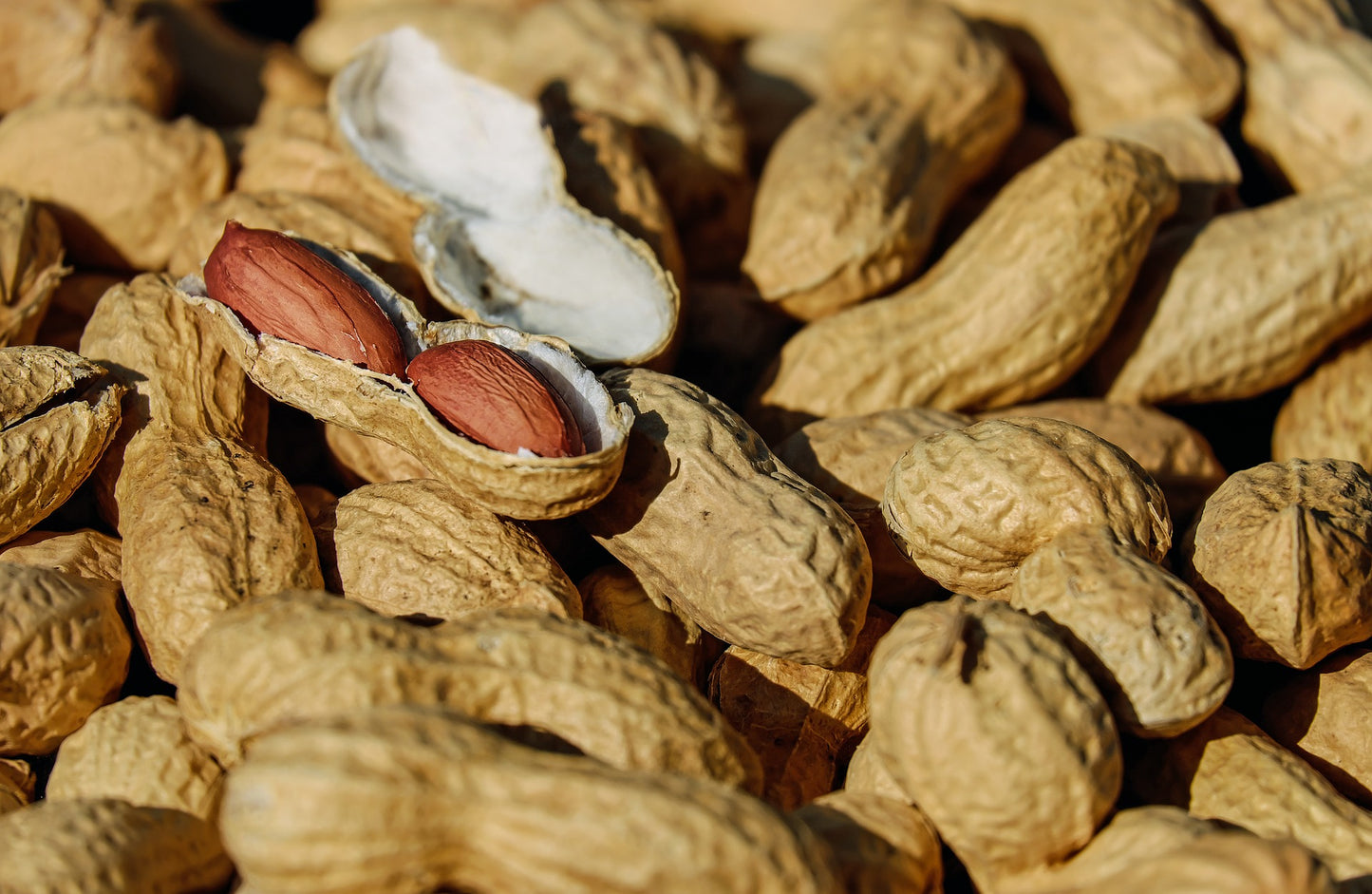 Yellow mesh bag containing whole, raw peanuts