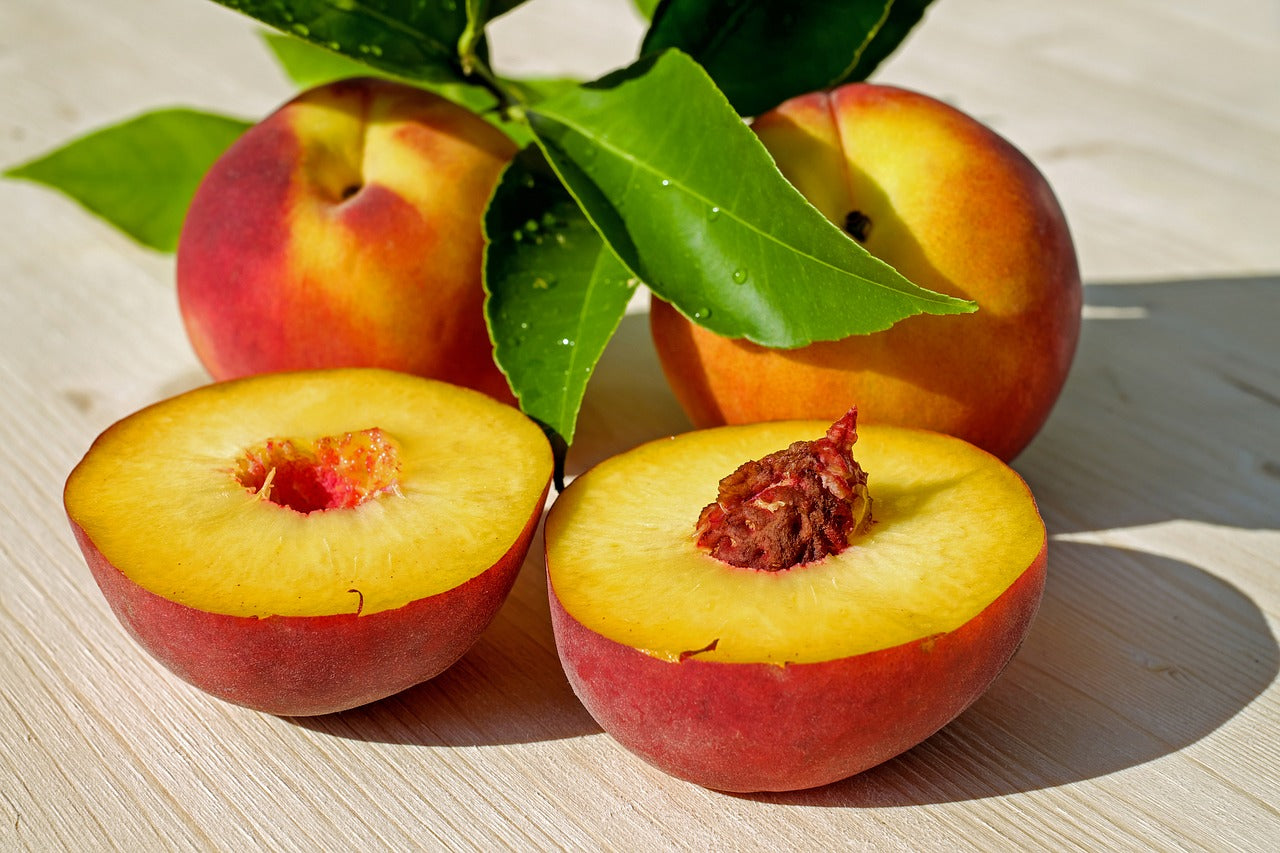 One-Time Harvest of Fresh Peaches